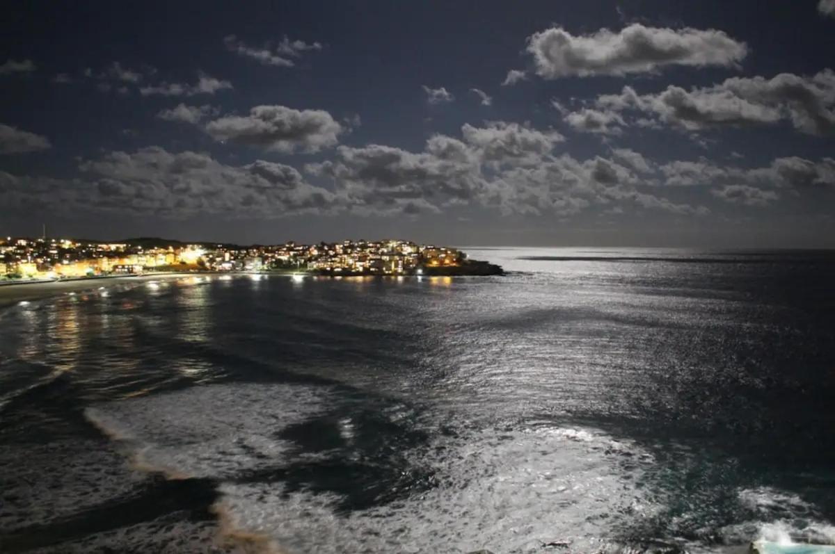 Studio Bondi Beach Сидней Экстерьер фото